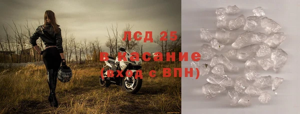шишки Каменногорск