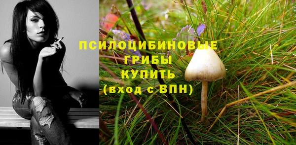 шишки Каменногорск