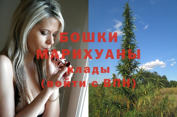 спайс Каменка