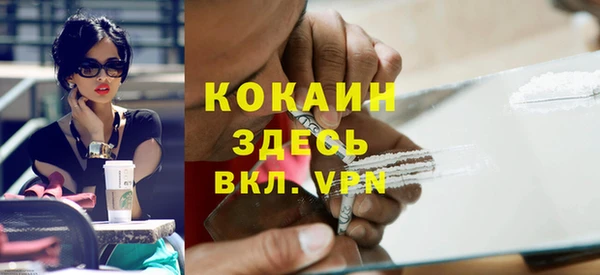 шишки Каменногорск