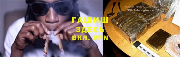 шишки Каменногорск