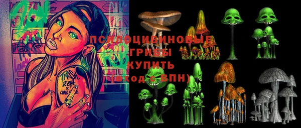 спайс Каменка