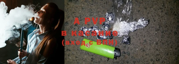 шишки Каменногорск