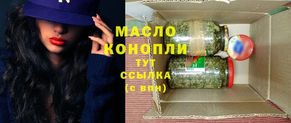 спайс Каменка