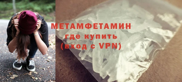 шишки Каменногорск